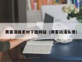 凤城黑客漫画素材下载网站（黑客动漫头像）