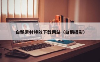 凤城白鹅素材特效下载网站（白鹅摄影）